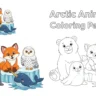 Free Arctic Animal Coloring Pages for Kids – Fun & Educational Printables